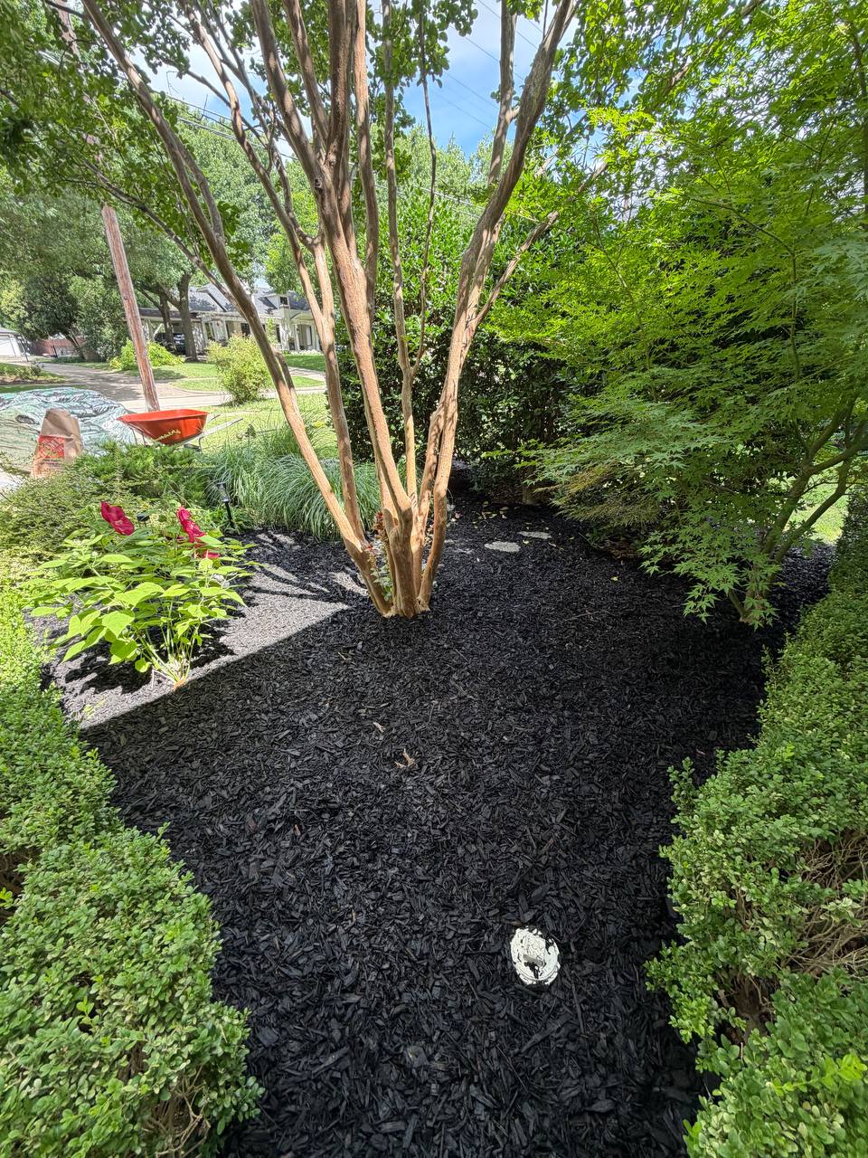 Garden Bed Cleanup